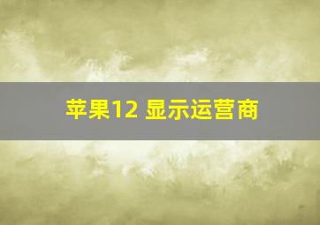 苹果12 显示运营商